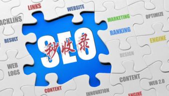 互聯(lián)網(wǎng)營(yíng)銷實(shí)戰(zhàn)指南 破解網(wǎng)站收錄難題，實(shí)現(xiàn)銷售落地為王